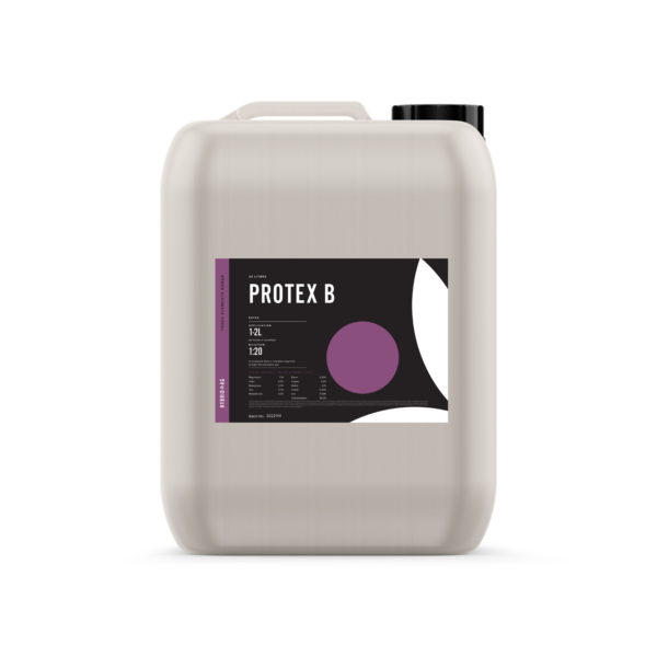 Protex B - Image 2