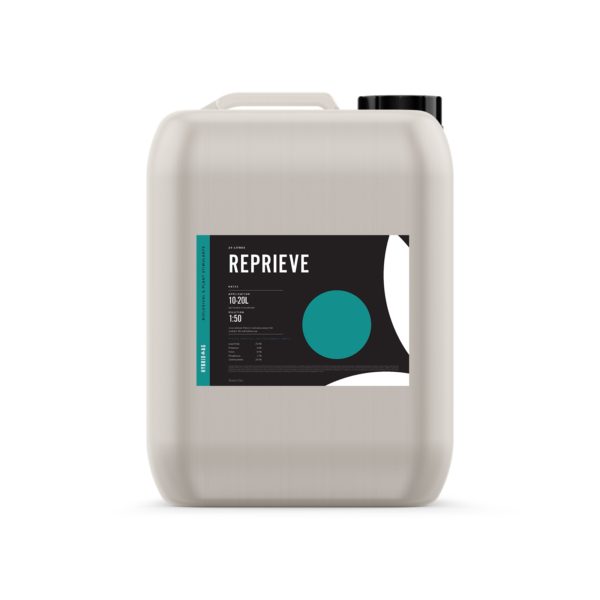 Reprieve - Image 2
